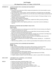 Executive Business Development Resume Samples Velvet Jobs
