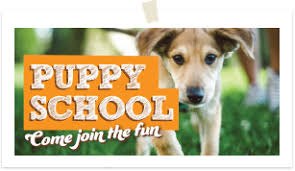 300 bellevue, wa 98005 (ca#: Bulk Pet Supplies Garden Supplies And Pool Supplies In Perth Western Australia Brisbane Queensland Melbourne Victoria And Sydney New South Wales Australia City Farmers
