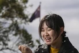Yihan Dudee Gao Has Her First Try Of Vegemite Student World View Grammar School