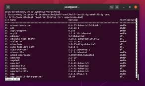 How To List Installed Packages In Linux Using Package Management Linux Management Linux Mint