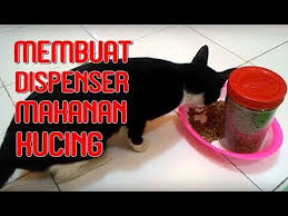 Makanya resep yang murah tapi bergizi ini sangat bisa dipakai untuk berbagai jenis kucing peliharaan yang sahabat kucingmu.com miliki. Cara Membuat Dispenser Makanan Kucing Dari Barang Bekas Youtube Makanan Kucing Dispenser Makanan Makanan Anjing