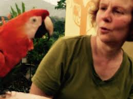 Julie and I have been in Costa Rica for two weeks. It's been great.