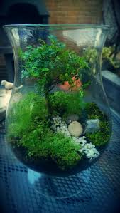 Mini Terrarium I Made Mini World Micro Garden Mini Terrarium Garden Terrarium