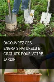 Decouvrez Ces Engrais Naturels Et Gratuits Pour Votre Jardin Jardin Gratuit Naturels Engrais Garden Tools Plants