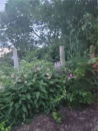 Job interview questions and sample answers list, tips, guide and advice. Providence Ri Land For Sale Real Estate By Homes Com