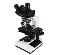 TEELEN XSP-8C Binocular Biological Microscope | NBCHAO