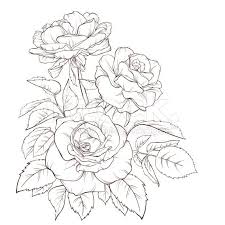 Rose Flower Hand Drawn Contour Lines And Strokes Element For Design Royalty Free Stock Vector Art Flower Line Drawings Rose Line Art Roses Drawing