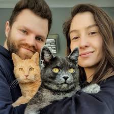 Cabinet Veterinar Famvet-DVH