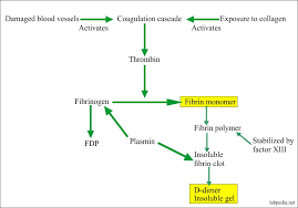 A blood test can be done to measure these products. D Dimer Test Fragment D Dimer Diagnosis Of Disseminated Intravascular Coagulopathy Dic Labpedia Net
