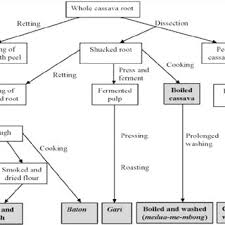 Flow Chart Showing The Production Of Ethanol From Cassava