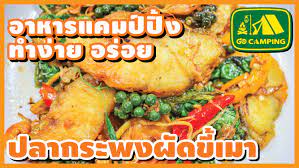 ปลากระพง ผ ดข เมา ไม น าเช อทำจากของเหล อท ม อร อยได ไงเน ย ผ ดข เมา กระเท ยม ถ วย