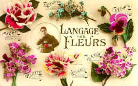 Here is the list of popular flower names with their meanings and symbols that you might be interested in. The Language Of Flowers What Different Types Of Flowers Actually Mean Send Flowers In Omaha Free Delivery