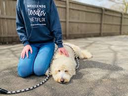 Review our list of gana member breeders and find out more information about breeders of goldendoodles. Michigan Doodle Rescue Connect Clothing Home Facebook