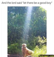 Pin On Funny