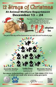 Our store also offers grooming, training, adoptions, veterinary and curbside pickup. 730 Pet Adoption Marketing Ideas Pet Adoption Pets Adoption