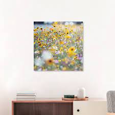 Download summer meadow patterns (85412) today! Nadja Jacke Summer Flower Meadow With Wildflowers Photocircle Net