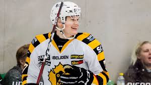Vem är skellefteå aik:s bästa spelare genom tiderna? Skelleftea Aik Blir Ett Steg Bakat Tva Steg Framat Hockeysverige