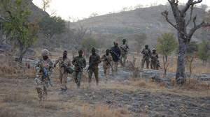 Image result for Nigeria Army Admits Shooting In Chibok, Raises Investigative Panel