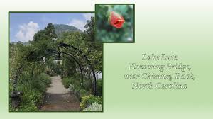 A beautiful destination where you can relax and enjoy the ever changing flowers and plants on the bridge. Lake Lure Flowering Bridge Near Chimney Rock North Carolina Youtube