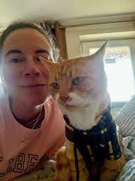 Yesterday was #nationalcatday and we missed it! But we don't need a  national holiday to celebrate neighbor-cat Winnie's journeys through the  Garden. #berkshirebotanicalgarden #berkshirebotanical #nationalcatday  #winnie #neighborhoodcats #welovewinnie ...