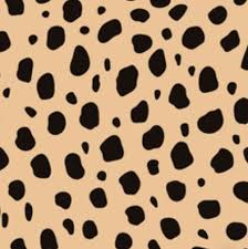 Check spelling or type a new query. A Guide To Prints The Concept Wardrobe