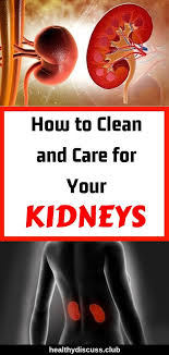How To Clean And Care For Your Kidneys Kidneys Health Healthy Homeremedies Obesity Definition Holistic Health Remedies Kidney Cleanse Holistic Remedies