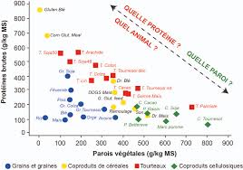 Le classement qualitatif de la carcasse s'effectue au moment de l'abattage par estimation de la teneur en viande maigre (viande maigre estimée en pourcentage du poids de la carcasse) Chapeau En France Les Coproduits De L Agriculture Et De L Agro Industrie Representent Des Gisements Importants De Ressources Pour L Alimentation Animale Cependant Les Process Technologiques Qui Les Generent Peuvent Induire Une Variabilite Importante