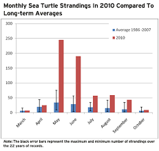 sea turtles by conall joyce infographic