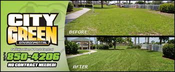 Minor lawn damage due to dog urine spots often resolves on its own as healthy new growth for example, build a sandbox and hide toys in it for your dog to find. Lawn Treatment Services For Brown Spots In Grass In Cape Coral Fl