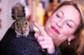 He hides nuts in my hair when I watch TV'