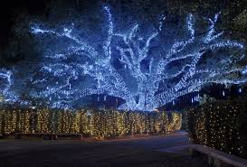 Everything You Must Do In New Orleans This Holiday Season New Orleans Travel Visit New Orleans New Orleans