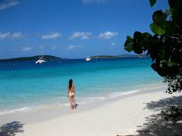 John from 200+ sites worldwide! Where The Wild Donkeys Roam Cinnamon Bay St John