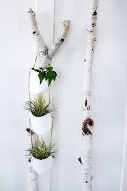$23 at the sill · 2 assorted tillandsia air plants. 51 Diy Hanging Plants Indoors Ideas Balcony Garden Web
