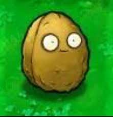 who else thought this was a potato : r/PlantsVSZombies