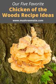 Chicken Of The Woods Recipe Ideas In 2020 Chicken Of The Woods Wild Mushroom Recipes Stuffed Mushrooms
