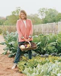 11 Garden Ideas To Steal From Martha Stewart Gardenista Vegetable Garden Tips Veggie Garden Gardening Tips