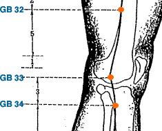 Acupuncture For Parkinson S Disease Mechanisms Explored Safer Than Rapamycin Acupuncture Research Chinese Medicine And Acupuncture Blog Yin Yang House