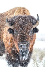 🎙️ JUST DROPPED: My interview