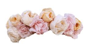 Pink Flower Crown