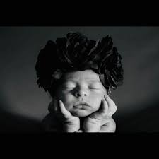 Wendy Novoa (@nezlynov) • Instagram photos and videos