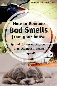A much worn pair of shoes, old fruits inside the fridge, or cigarette smoke are some of the many things that can lead to distasteful odours inside your abode from time to time. Remove Odors In Your House For Good House Cleaning Tips Old House Smells House Odors