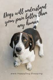 Pin On Dog Quotes For Dog Lovers