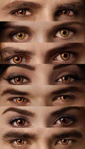 Eye Colors Fun Facts Everything You Want To Know Colorful Eyes Twilight Saga Books Twilight Scenes Twilight Saga Quotes