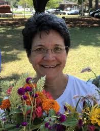 Sue Cheng's Instagram, Twitter & Facebook