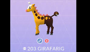 It is not known to evolve into or from any other pokémon. Pokemon Go Asi De Diferentes Lucen Un Girafarig Macho Y Hembra Niantic Foto 1 De 19 Epic Mobile Epic Peru Com