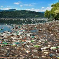 Sebagai contoh ialah racun serangga. Inilah 8 Faktor Penyebab Pencemaran Air Dan Contohnya Diadona Id