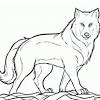 In the starting step of drawing a wolf, set your drawing paper on the drawing board. 1