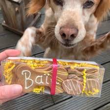 Un Cadeau Pour Mon Chien Idee De Cadeau Pour Chien Chien Qui Parle Chien Qui Joue Chien Qui Hurle Chien Mig Cadeaux Pour Chien Chien De Prairie Chien