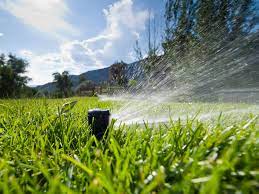 If the lawn is flat, the water will stay there, pooling. Learn The Right Way To Water Your Lawn Hgtv