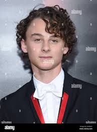 Wyatt in hi-res stock photography and images